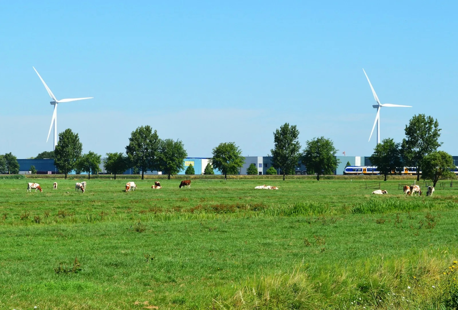 Aggregaat bouwplaats Zeeland: vermogen, kosten en