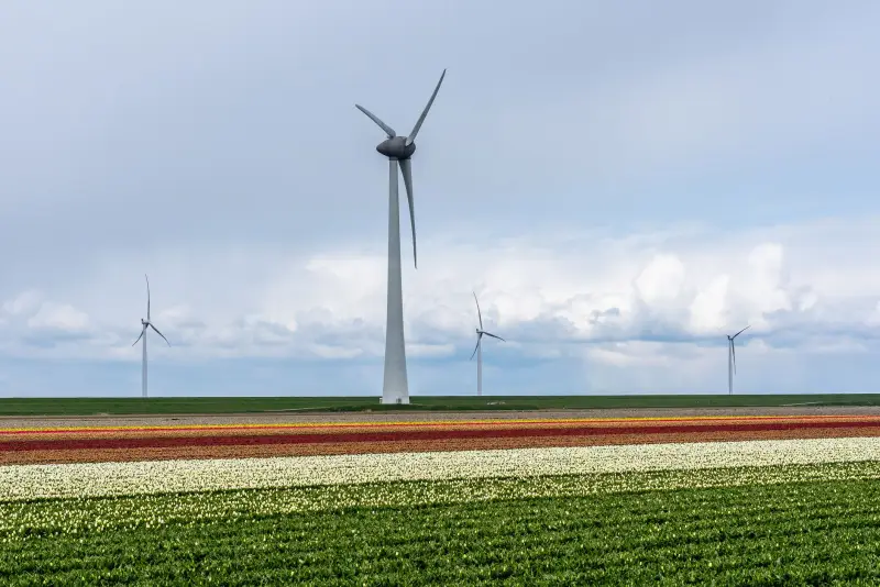 Noodstroom agrarisch bedrijf Zeeland: gids 2026