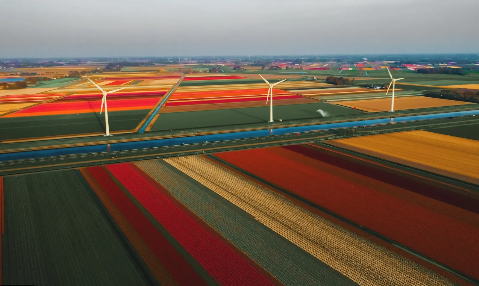 Noodstroom agrarisch bedrijf Zeeland: gids 2026